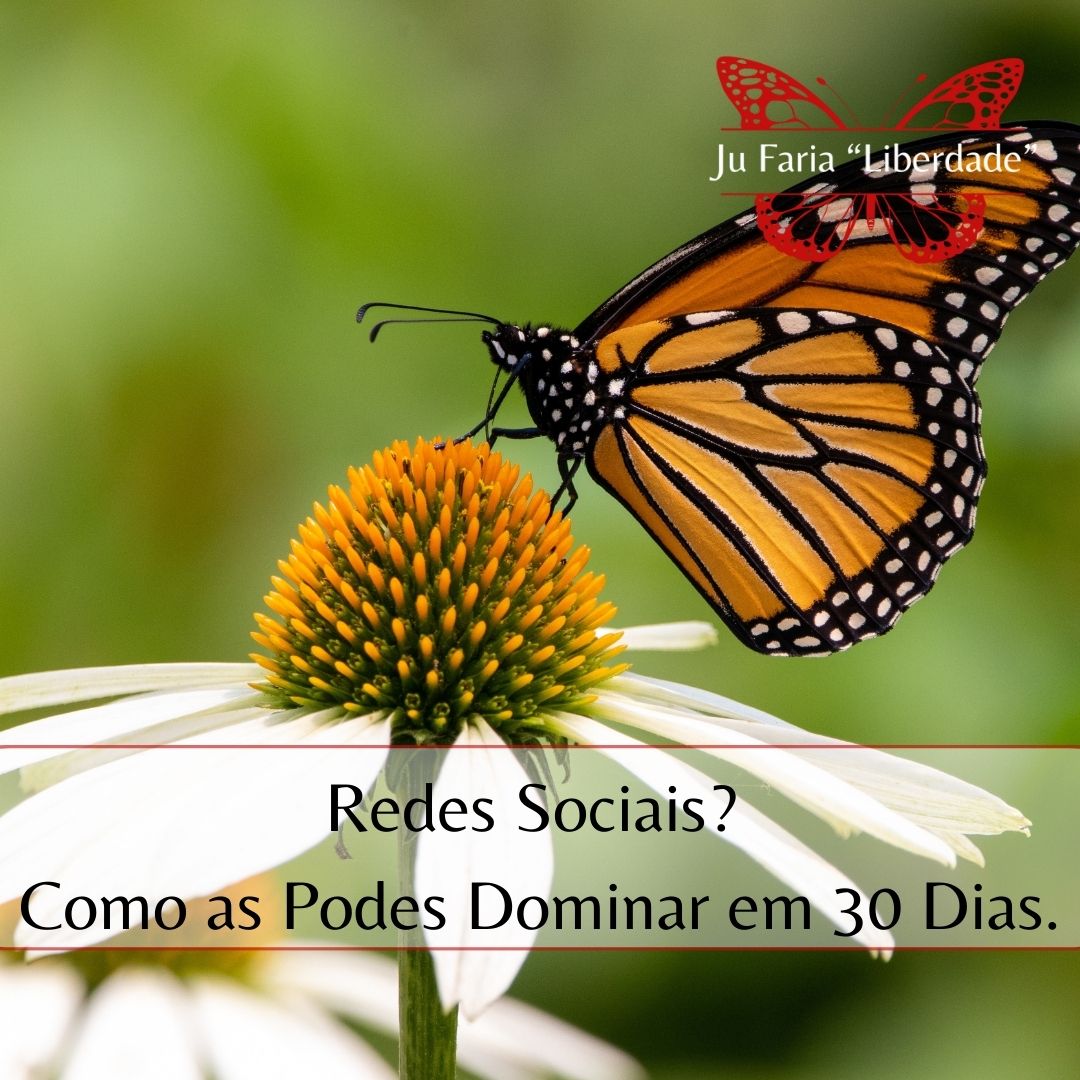 Read more about the article Redes Sociais? Como as Podes Dominar em 30 Dias.