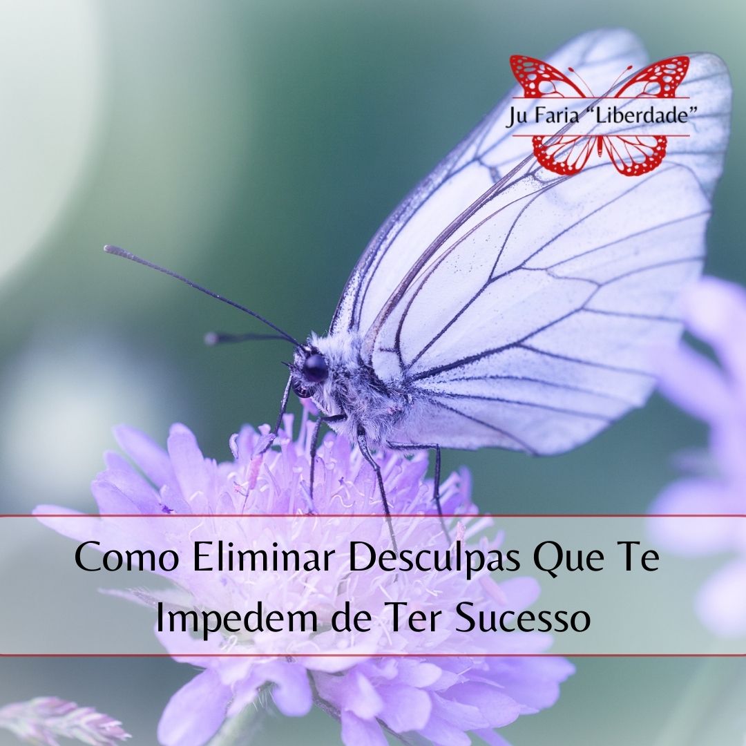 Read more about the article Como Eliminar Desculpas Que Te Impedem de Ter Sucesso